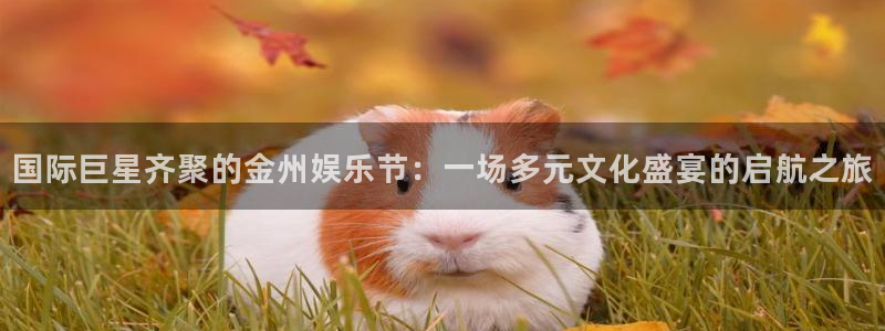 新航娱乐官网：国际巨星齐聚的金州娱乐节：一场多元文化盛宴的启航之旅