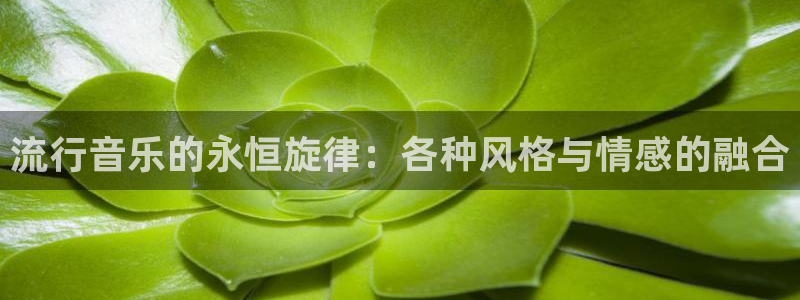 新航娱乐：流行音乐的永恒旋律：各种风格与情感的融合
