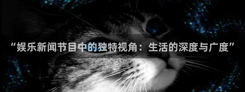 新航娱乐：“娱乐新闻节目中的独特视角：生活的深度与广度”