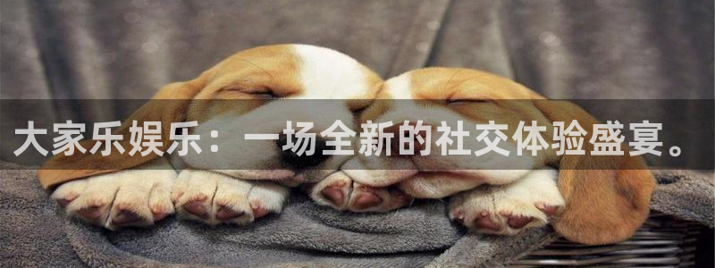 新航娱乐官网登录入口：大家乐娱乐：一场全新的社交体验盛宴。