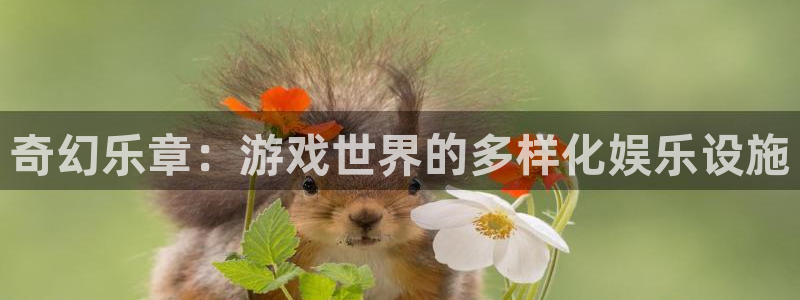 新航娱乐注册：奇幻乐章：游戏世界的多样化娱乐设施