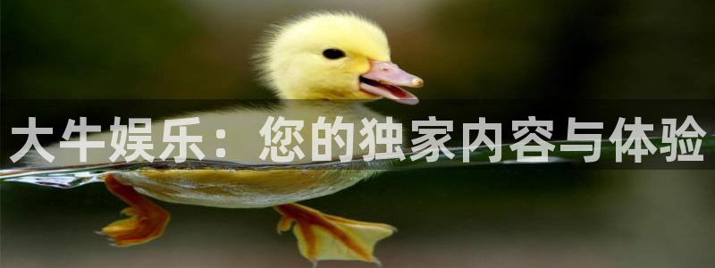 新航娱乐注册：大牛娱乐：您的独家内容与体验
